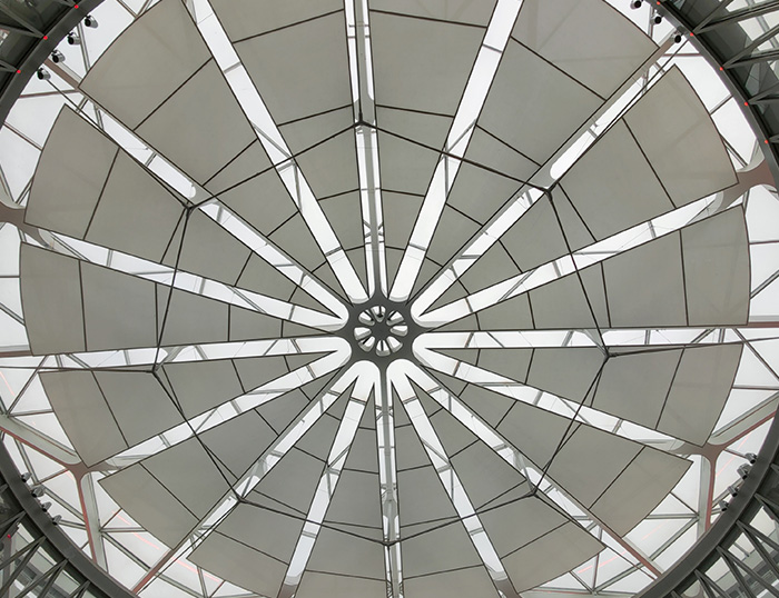 建物の天井